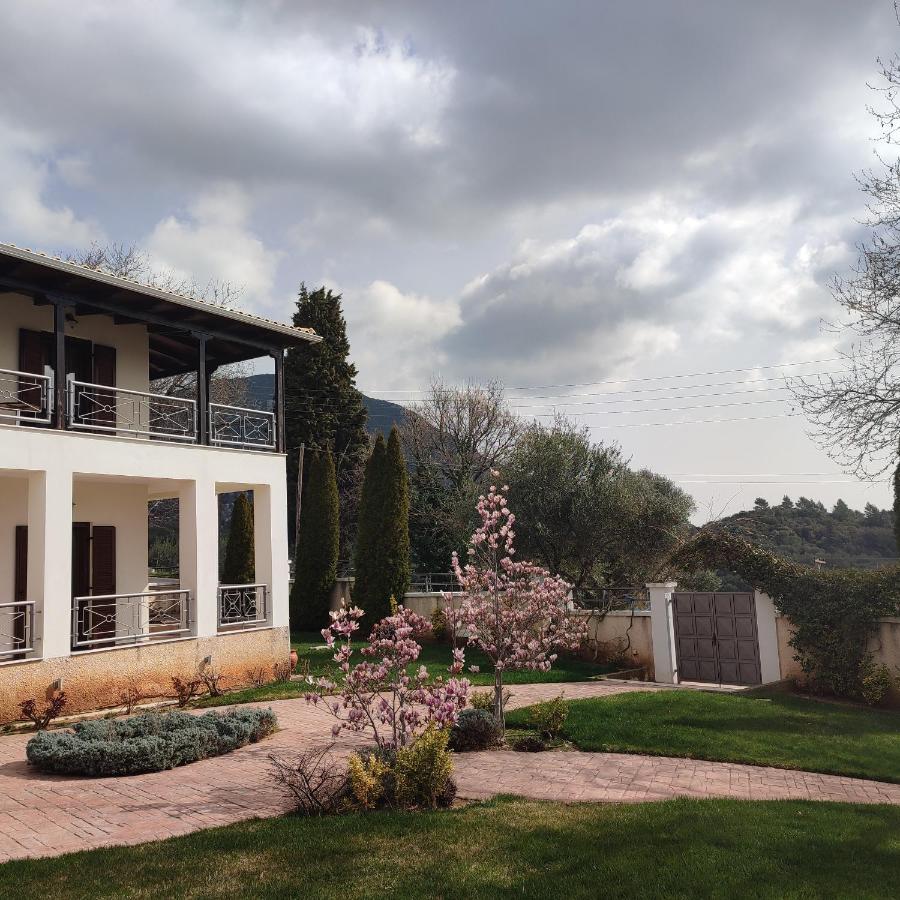 Kamarína Guesthouse Michobeis מראה חיצוני תמונה