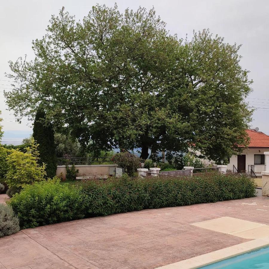 Kamarína Guesthouse Michobeis מראה חיצוני תמונה