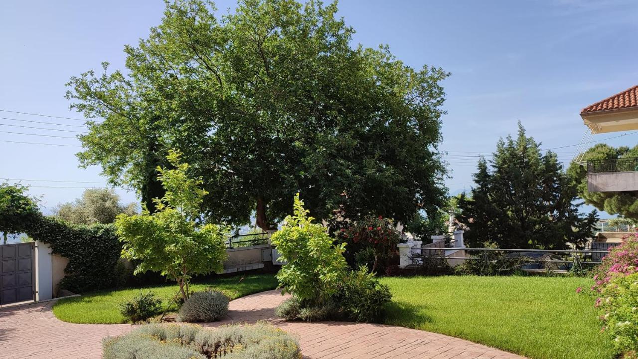 Kamarína Guesthouse Michobeis מראה חיצוני תמונה
